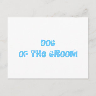 Postal Perro del Groom