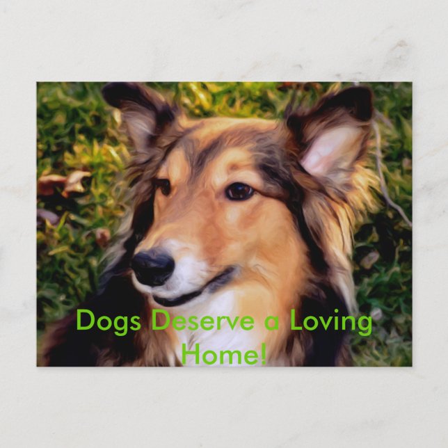 Postal Perro del rescate (Anverso)