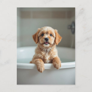 Postal Perro divertido en el baño