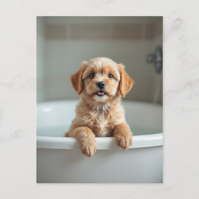 Postal Perro divertido en el baño (Anverso)