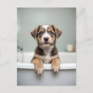Postal Perro divertido en el baño
