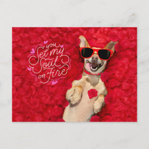 Postal Perro Divertido en Pétalos de Rosa Roja Feliz Día 