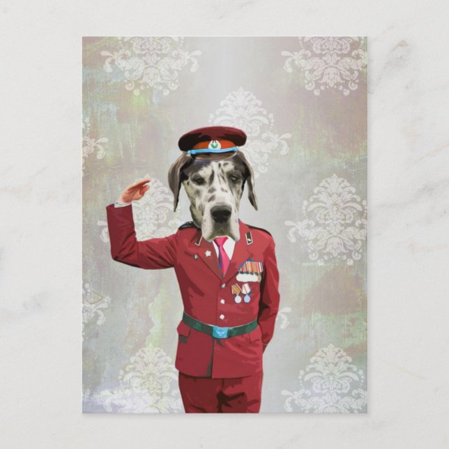 Postal Perro divertido en uniforme del rojo (Anverso)