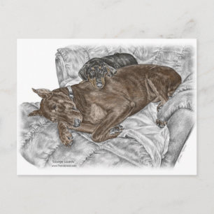Postal Perro Doberman y Cachorro