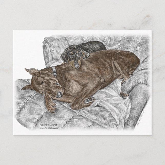 Postal Perro Doberman y Cachorro (Anverso)