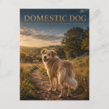 Perro Doméstico Camino Campestre ANIMALES