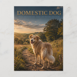 Postal Perro Doméstico Camino Campestre ANIMALES