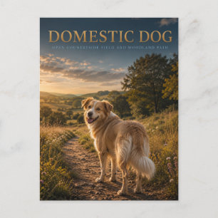 Postal Perro Doméstico Camino Campestre ANIMALES
