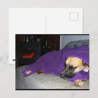 Postal Perro durmiendo junto a la chimenea