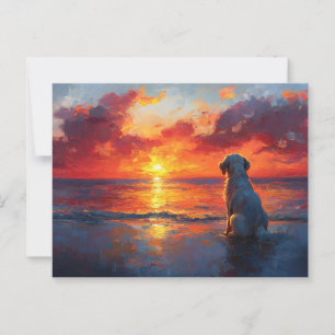 Postal Perro en la playa mirando la puesta de sol