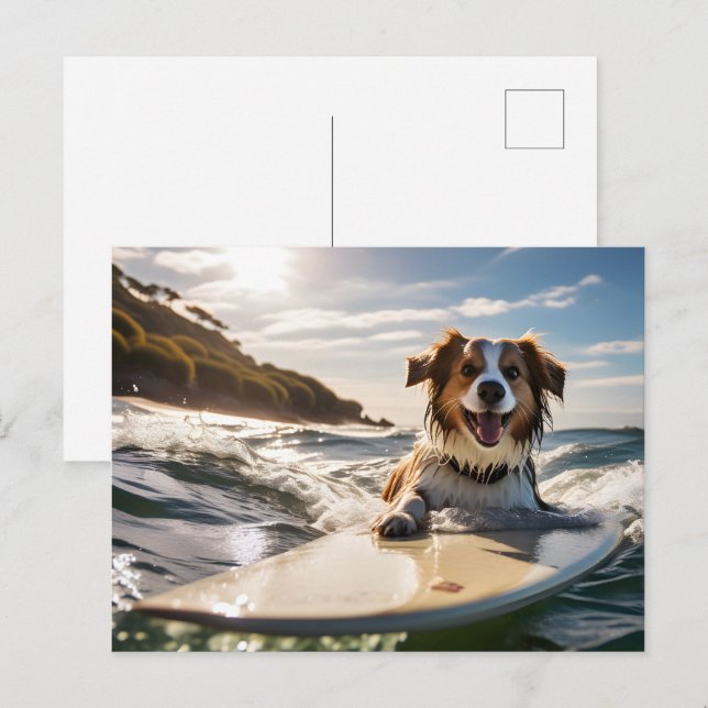 Postal Perro en la tabla de surf (Anverso / Reverso)