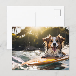 Postal Perro en la tabla de surf