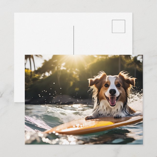 Postal Perro en la tabla de surf (Anverso / Reverso)