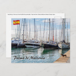 Postal Perro en Paseo marítimo - Palma de Mallorca
