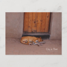 Postal Perro en reposo