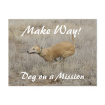 Perro en una misión