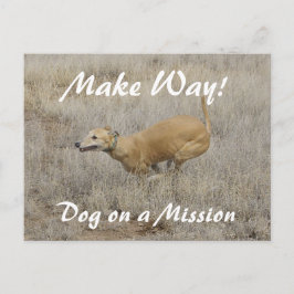 Postal Perro en una misión