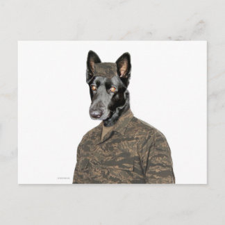 Postal Perro en uniforme