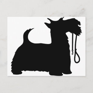 Postal Perro escocés y correa