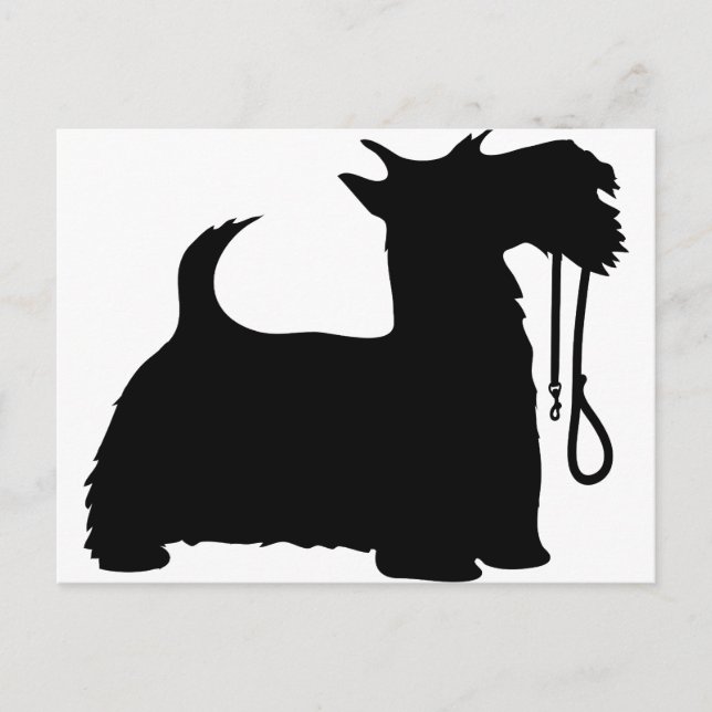 Postal Perro escocés y correa (Anverso)