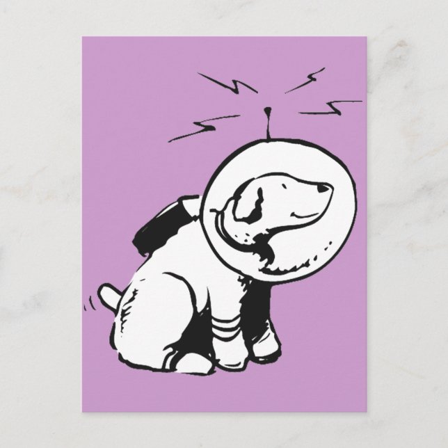 Postal Perro espacial (Anverso)