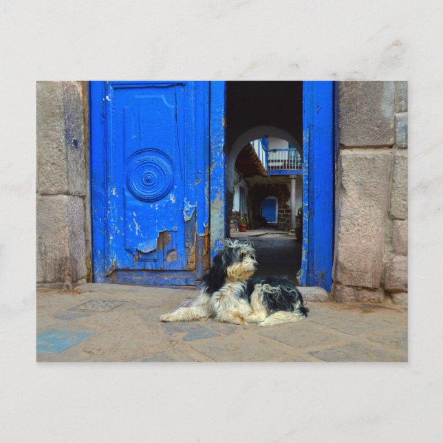 Postal Perro esperando frente a la puerta azul, Cusco, Pe (Anverso)