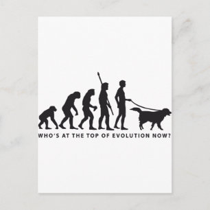 Postal perro evolutivo