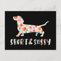 Perro floral Dachshund corto y suave