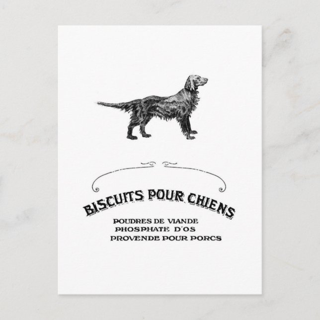 Postal Perro francés, anuncio de Biscuit de perro antiguo (Anverso)