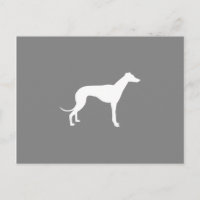 Perro galgo