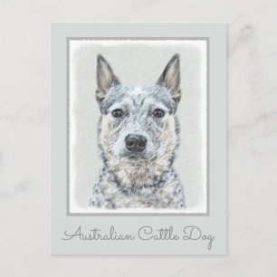 Postal Perro Ganadero Australiano - Arte de Perro Origina
