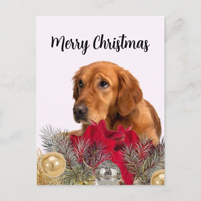 Postal Perro Golden Retriever con Adornos de Navidad (Anverso)