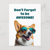 Perro gracioso con gafas de sol no se olvida de se