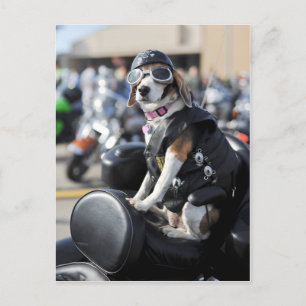 Postal Perro gracioso en motocicleta.