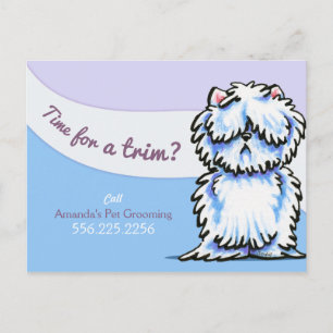 Postal Perro Groomer Shabby Westie Advertisement Mailer