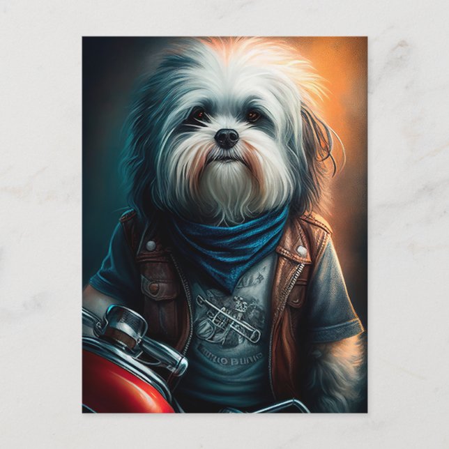 Postal Perro haitiano en pintura digital para bicicletas (Anverso)