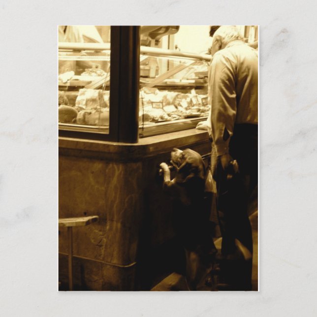 Postal Perro hambriento en Italia (Anverso)