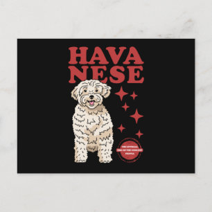 Postal Perro Havanés De Los Más Coolados Havaneses