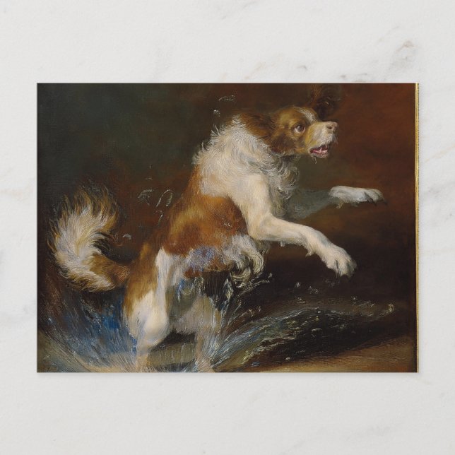 Postal Perro húmedo de IA (Anverso)