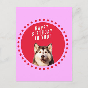 Postal Perro Husky Siberiano Cute Deseando Feliz Cumpleañ