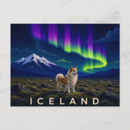 Postal Perro Islandés bajo la Aurora | Icónico Islandés