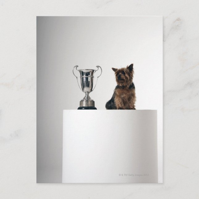 Postal Perro junto a un gran trofeo de plata (Anverso)