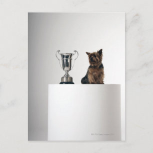 Postal Perro junto a un gran trofeo de plata