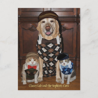 Postal Perro/laboratorio divertido y gatos en sudaderas a