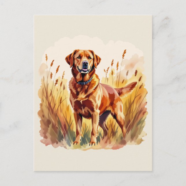 Postal Perro Labrador Retriever Fox Rojo (Anverso)