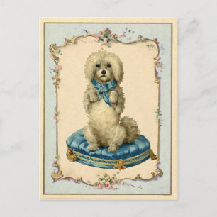 Postal Perro Lindo Cojín Azul Reproducción Vintage