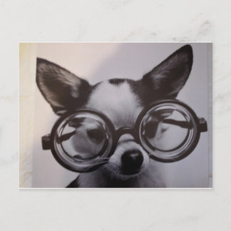 Postal Perro lindo con gafas sobredimensionadas