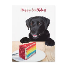 Perro Lindo Feliz Cumpleaños - Labrador Retriever
