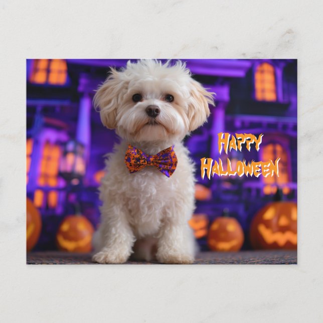 Postal Perro Lindo Feliz Halloween Casa Embrujada (Anverso)