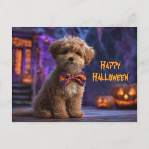 Postal Perro Lindo Feliz Halloween Casa Embrujada